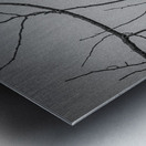 FS250209 ANTIQUE BW Metal print