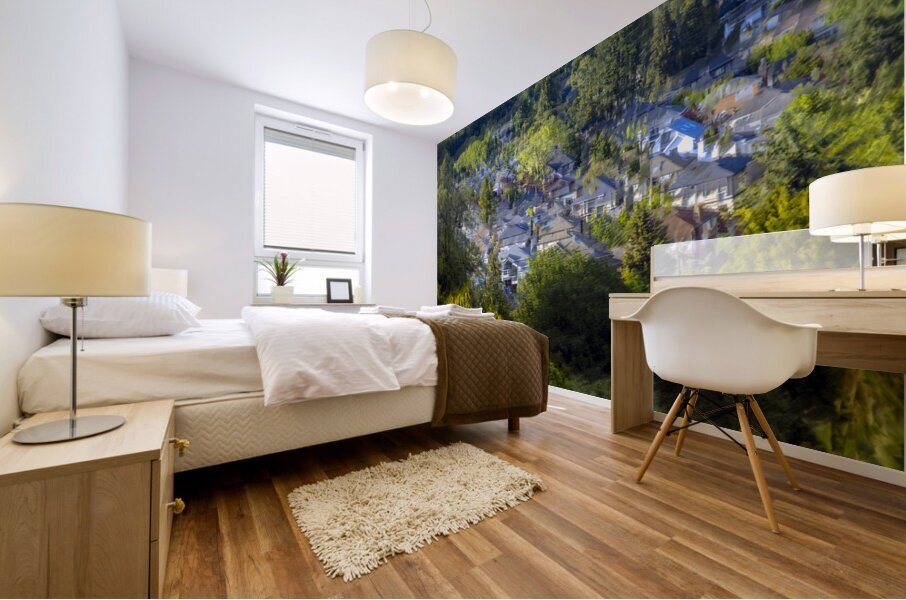 FS240615 VANCITY Mural print