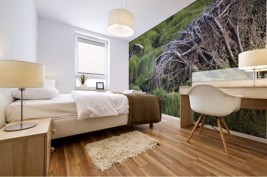 FS240611 02 Mural print