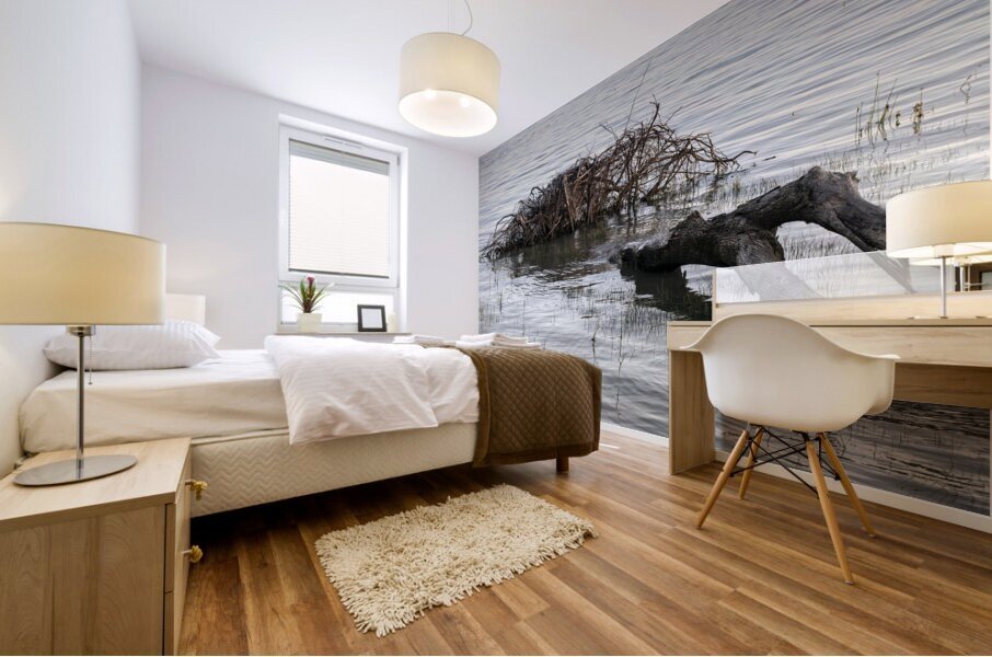 FS240606 204 Edit Mural print