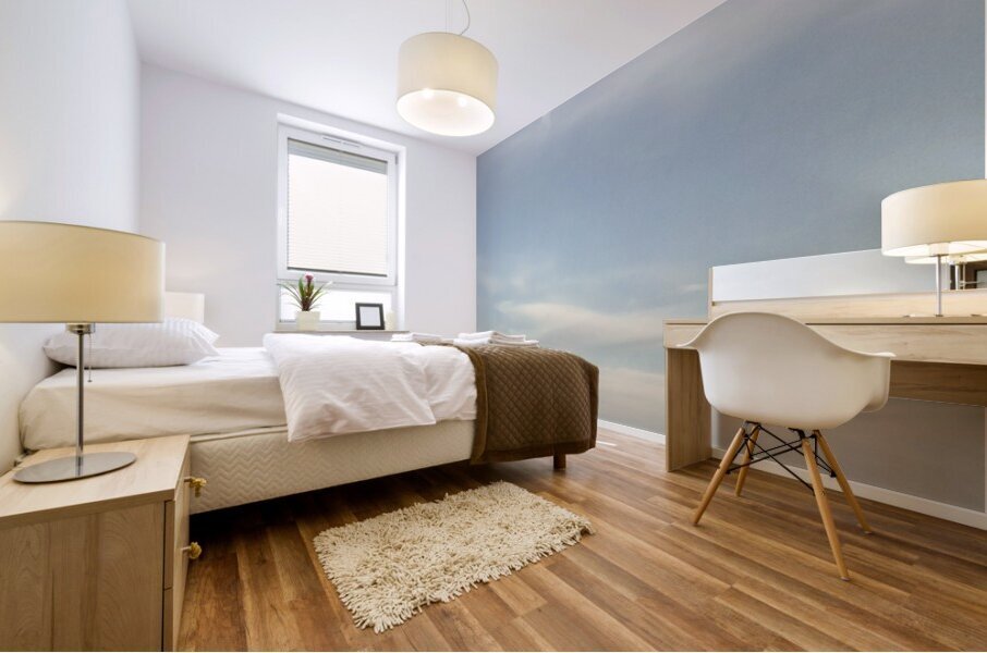 FS240605 CLOUDSCAPE Mural print