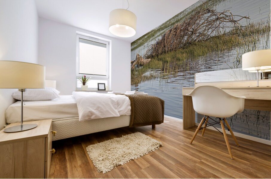 FS240605 160 Mural print
