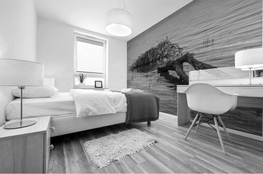FS240606 209 Mural print