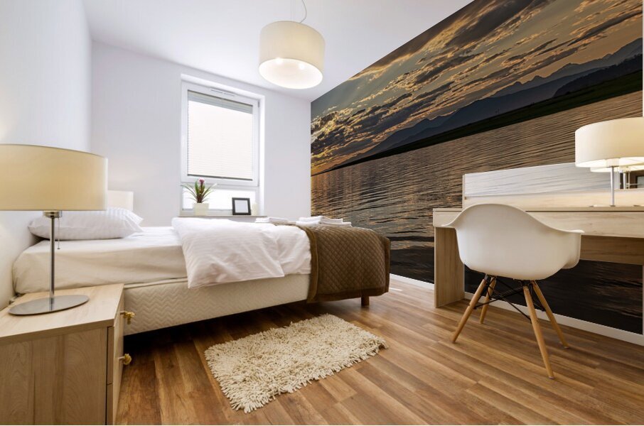 FS240701 233 Mural print
