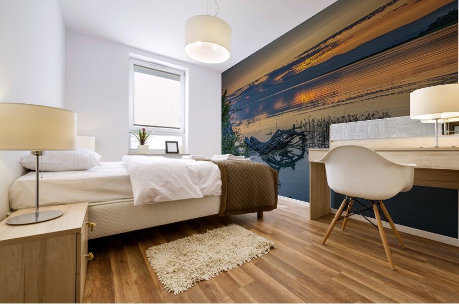 FS240723 Terra Nova Sunset Mural print