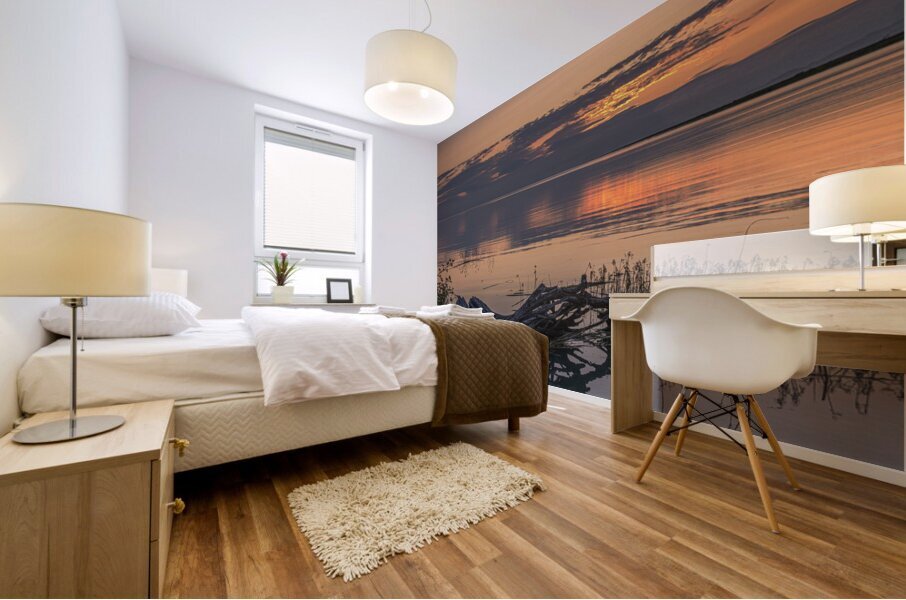 FS240723 11 Mural print