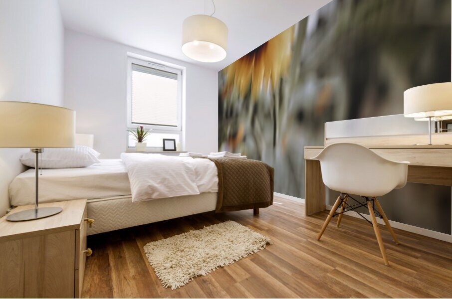 FS240824 23 Mural print