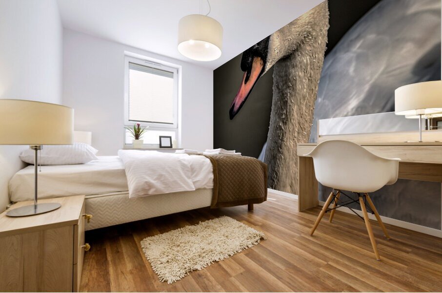 FS210303 SWAN Mural print