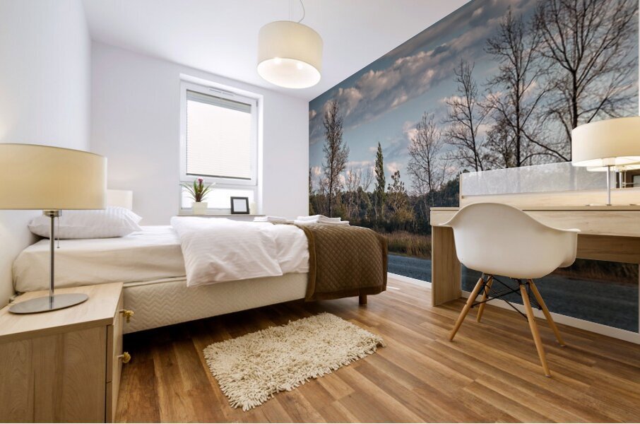 FS240929 Eagles Nest Mural print
