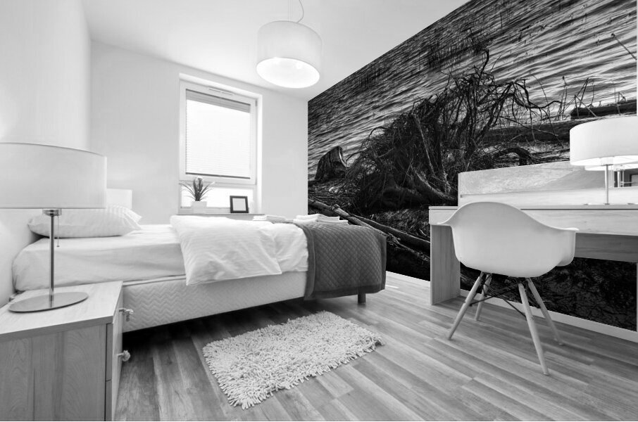 FS240929 ROOTS BW Mural print