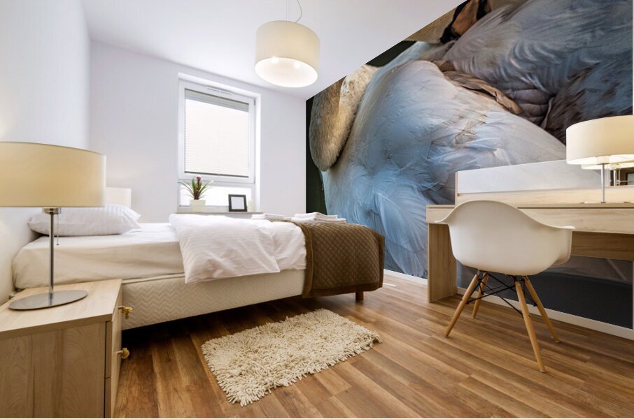 FS230602SW Mural print