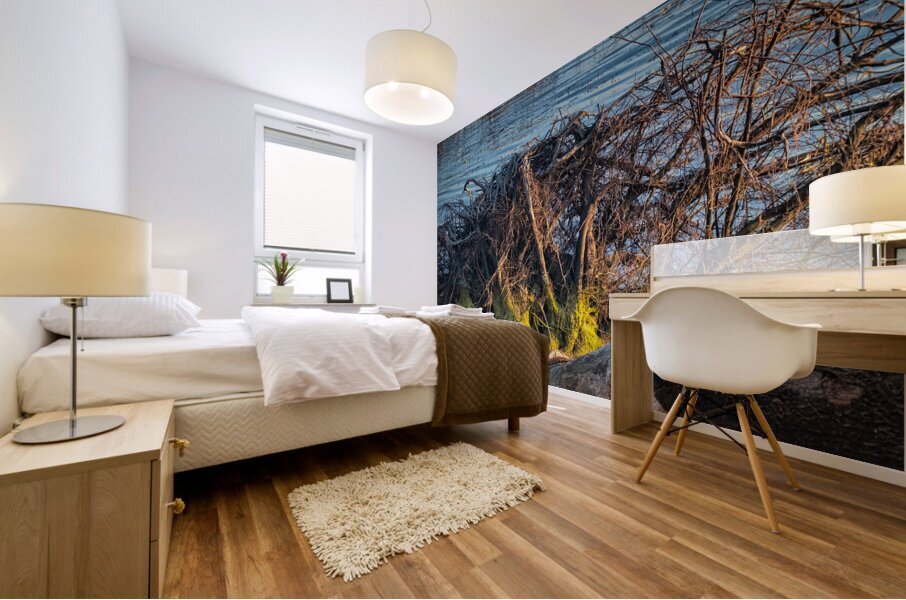 FS241002S Mural print
