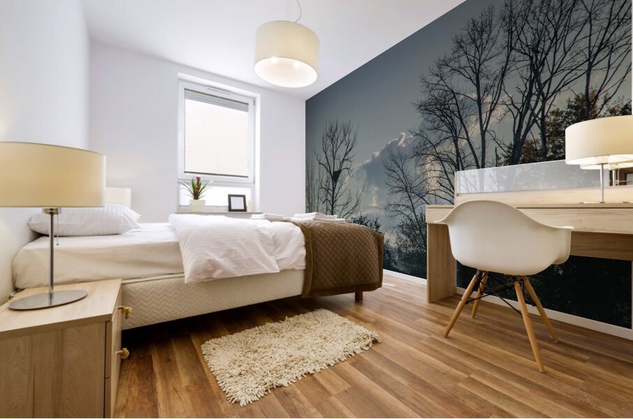 20241022 350 Edit Mural print