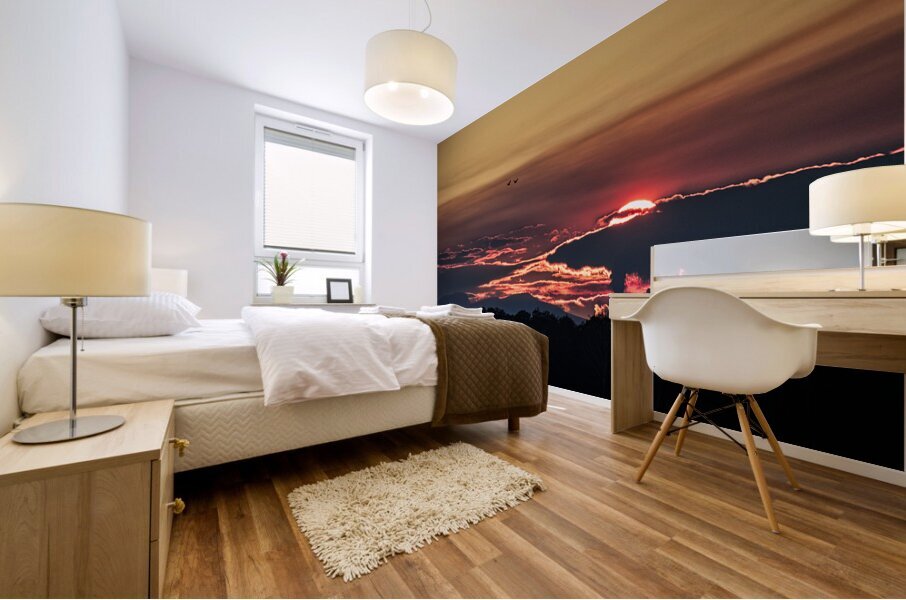 FS241022 SUNSET DW Mural print