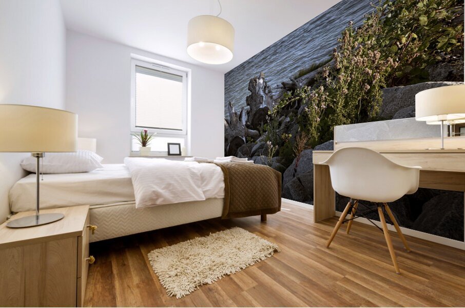 FS240725 Mural print