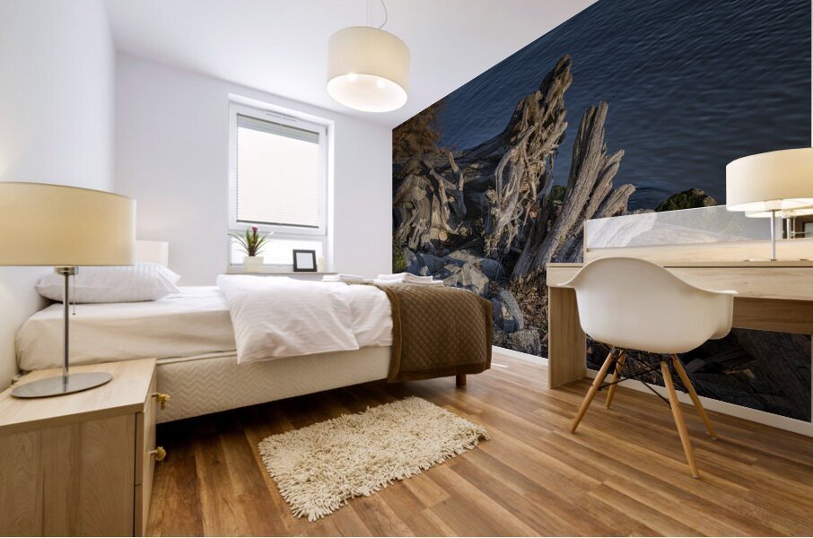 20241024  83 Edit Mural print