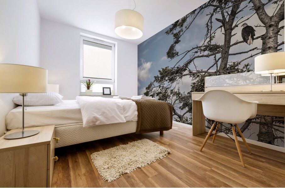 FS240802DW EAGLE UP ABOVE Mural print