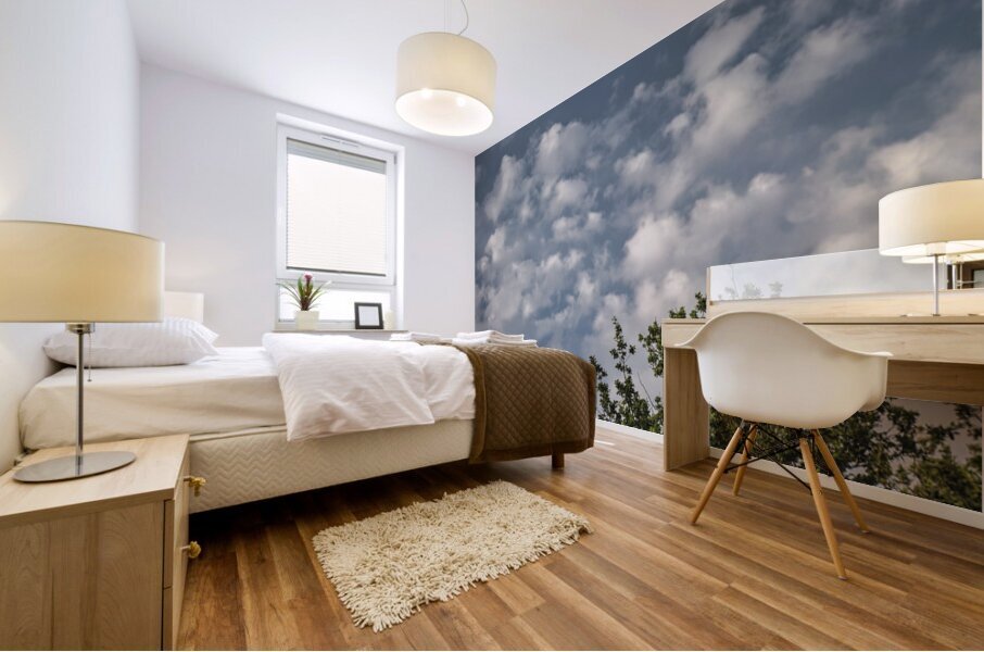 FS240802 CLOUDSCAPE Mural print