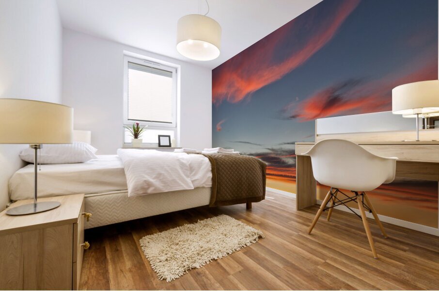 FS240801 03 Mural print