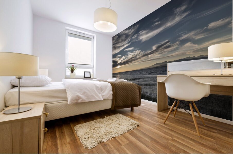 FS240801 LANDSCAPE AT TERRA NOVA Mural print