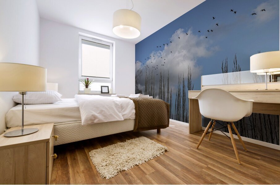 FS240207 Mural print