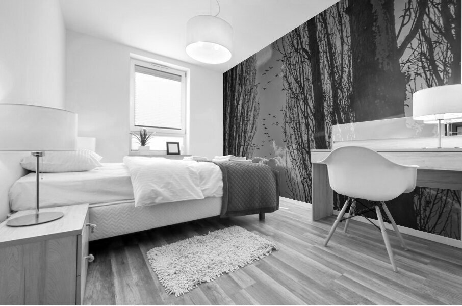 FS240207BW GEESE Mural print