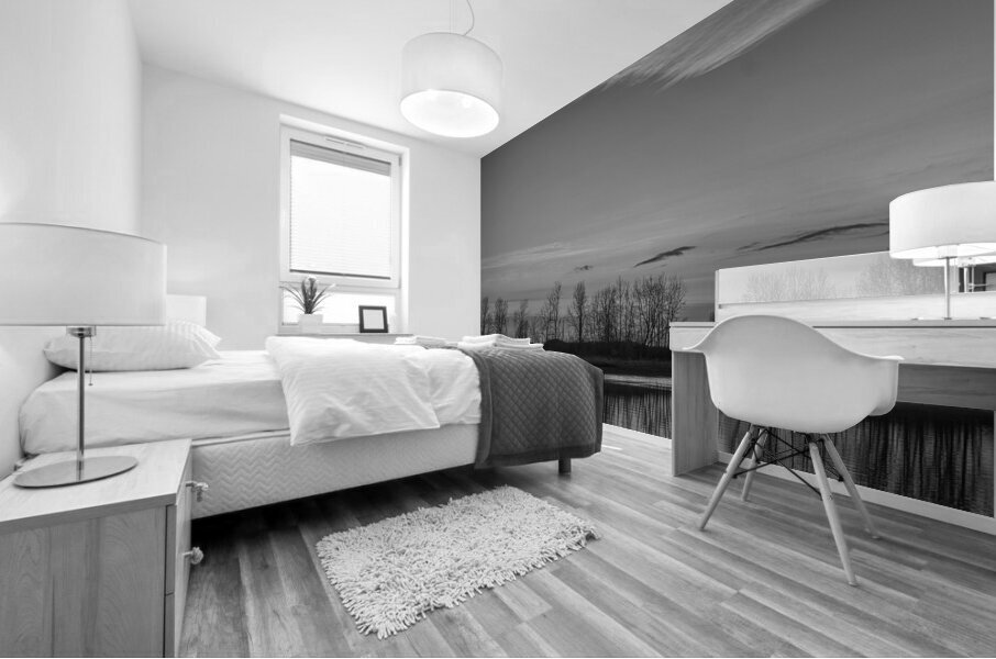 FS250121 BW CLOUDS Mural print