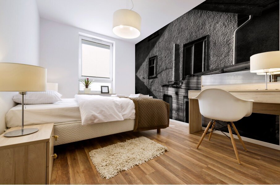 FS240418 WINDOWS DARK EDGES Mural print