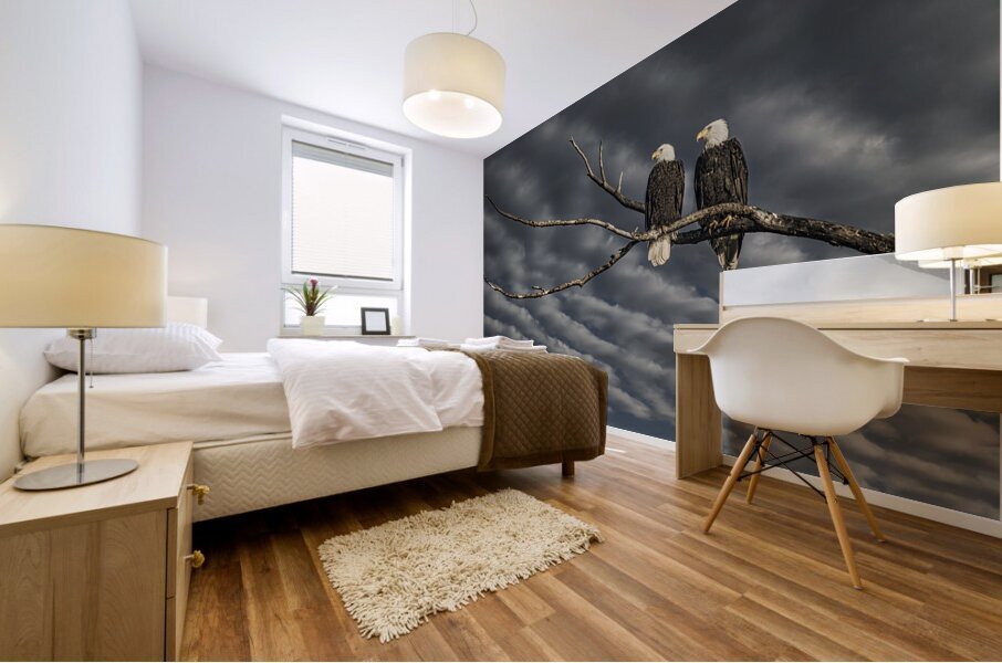 FS250211 TWO EAGLES DW1 Mural print