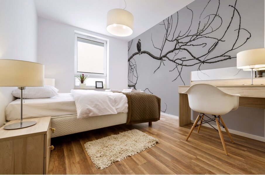 FS250209 EAGLES EKTAR 100 Mural print