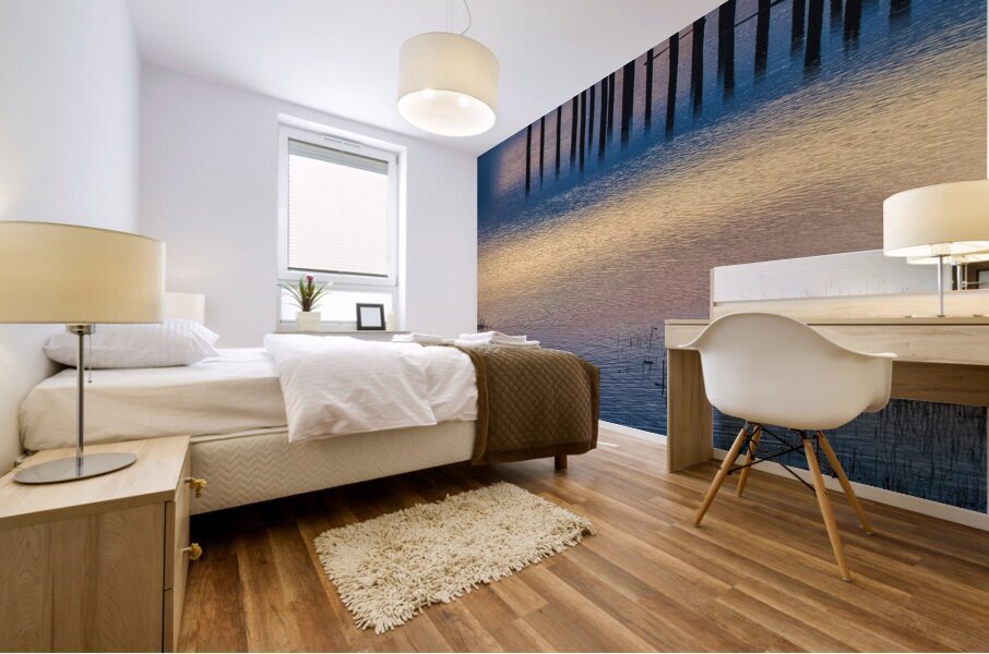 FS250225 LIGHT REFLECTIONS Mural print