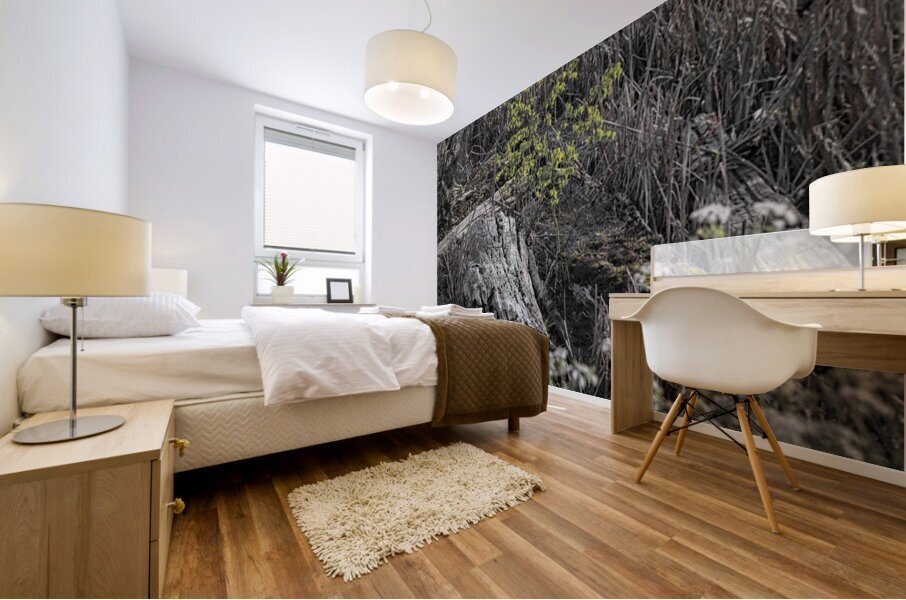 FS250430  SPRINGTIME Mural print