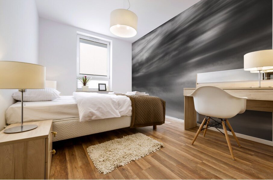 FS250226BW CLOUDSCAPE Mural print