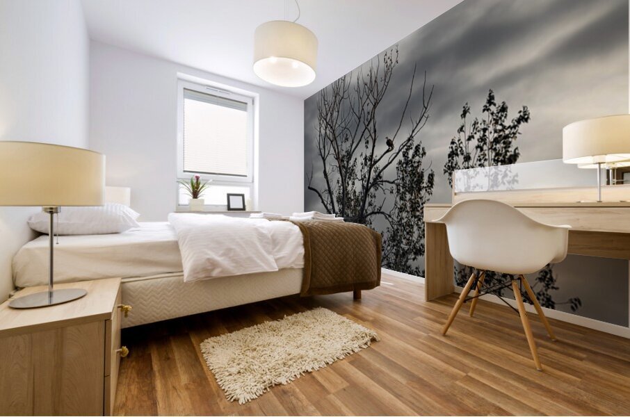 FS250719 EAGLE NEST Mural print