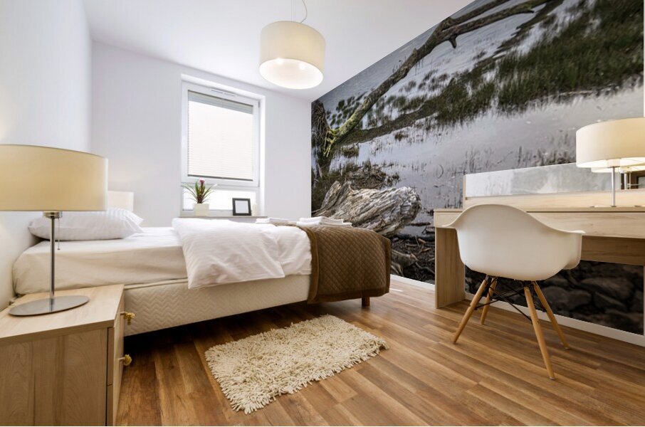 FS260331DW3 DRIFTWOOD Mural print