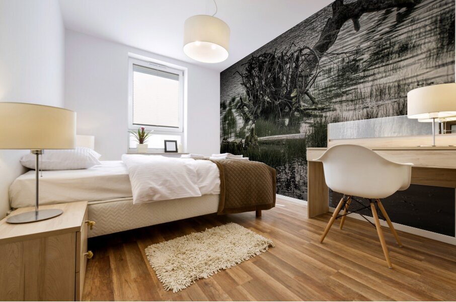 FS260417 2 DRIFTWOOD Mural print