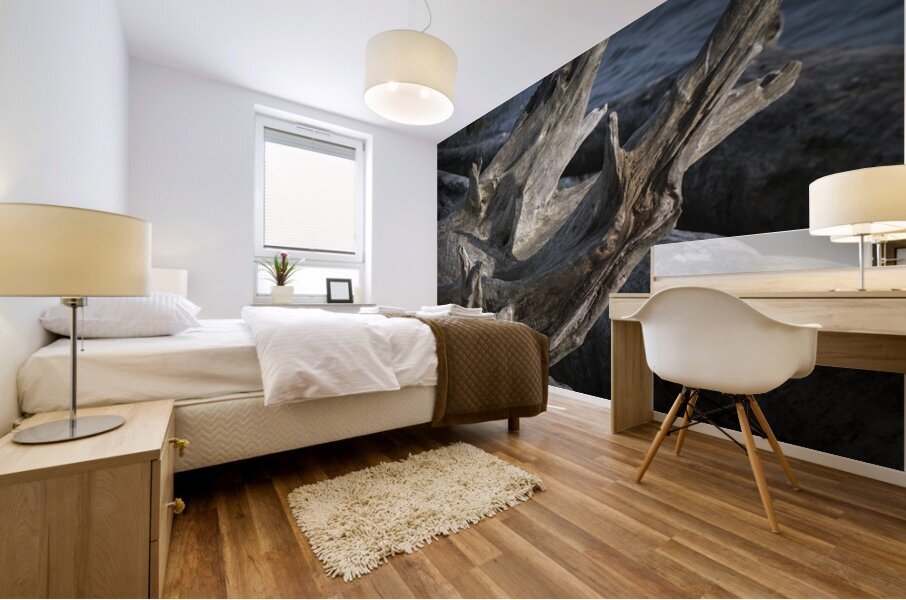 FS260415 00 DRIFTWOOD Mural print