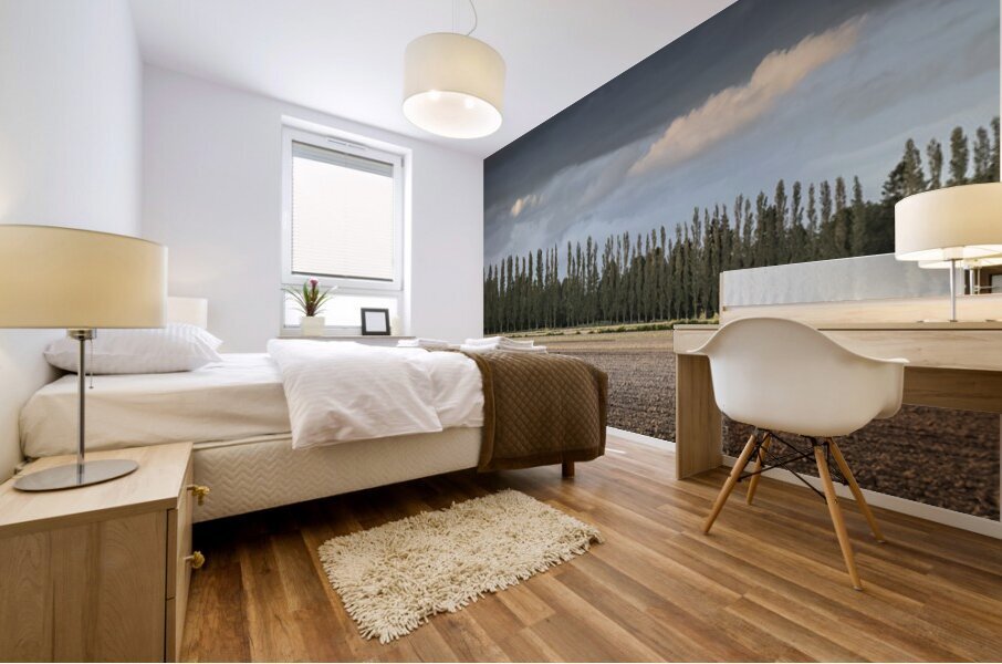 FS260515 TREES AND CLOUDS Mural print