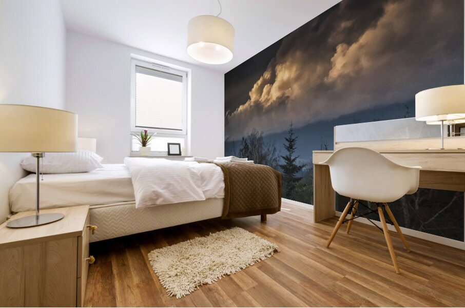 FS260630 DISTANT TREES Mural print