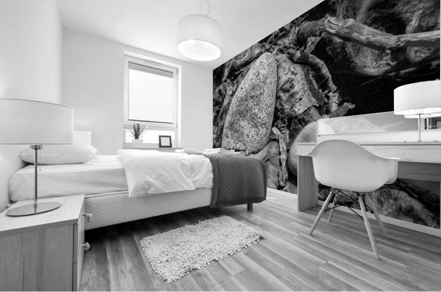 FS 110736 Mural print