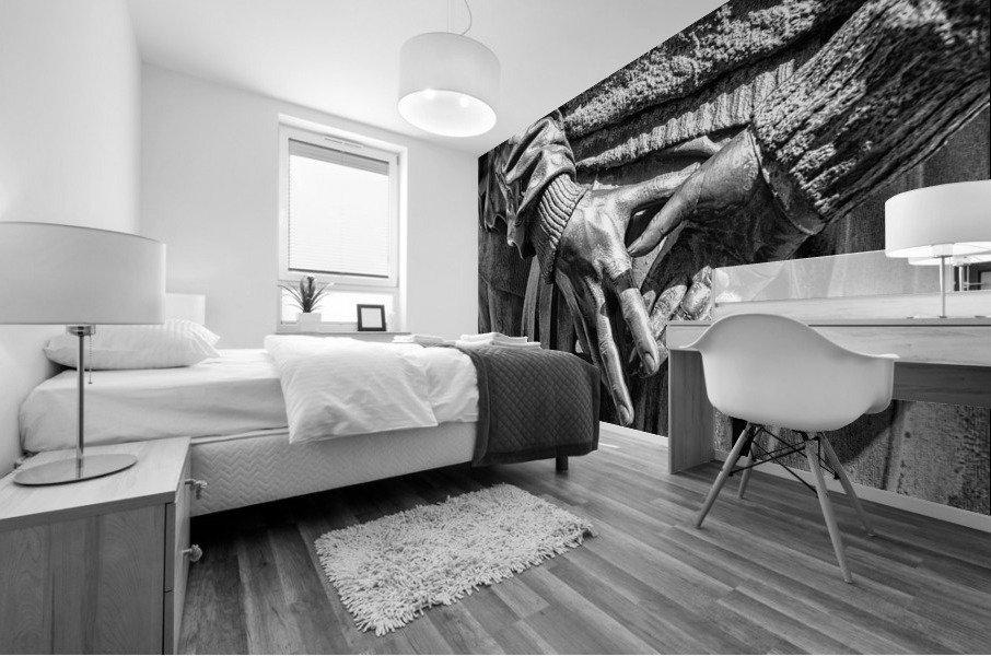 FS170606BW Mural print