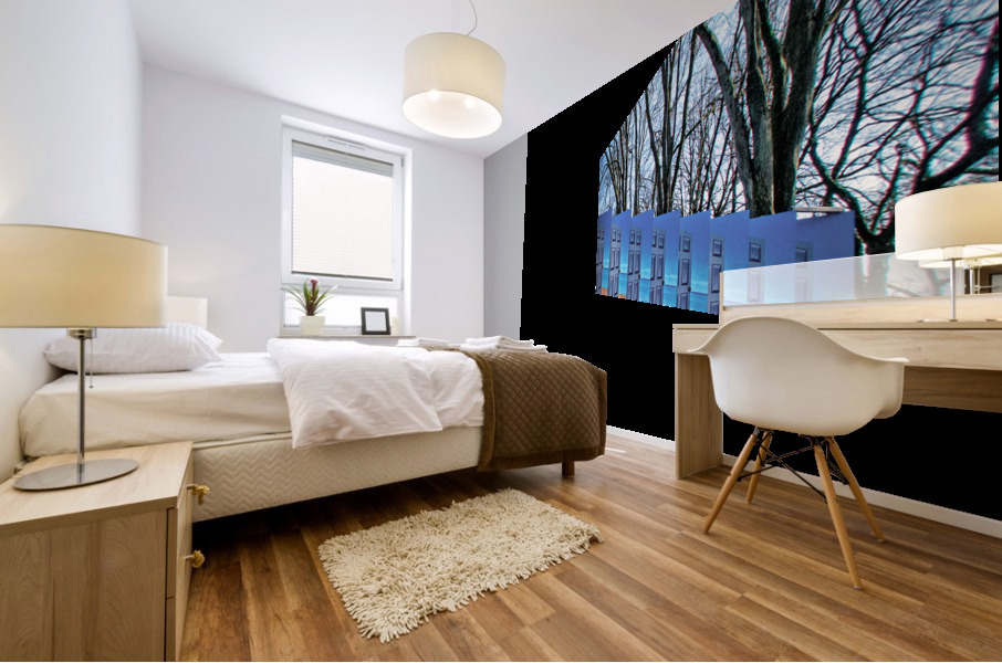 FS110208 0 Mural print