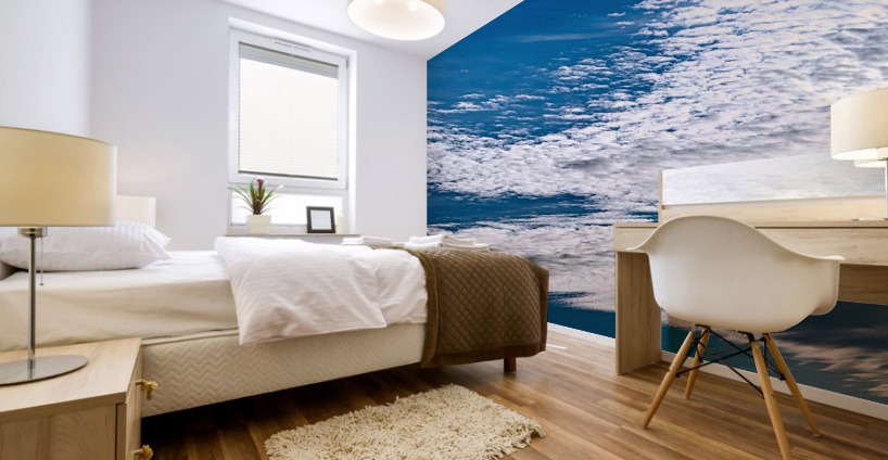 FS210617 Mural print