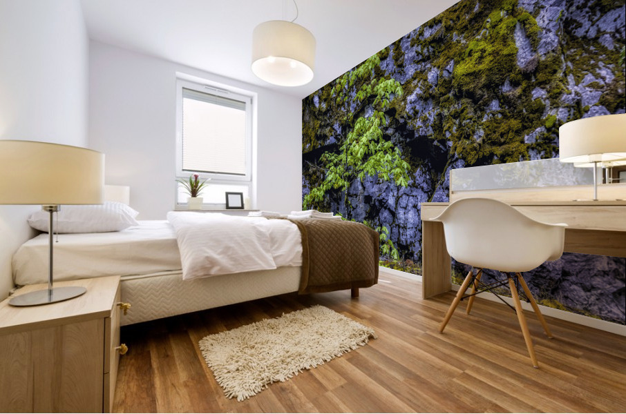 TREE ON THE CLIFF Mural print