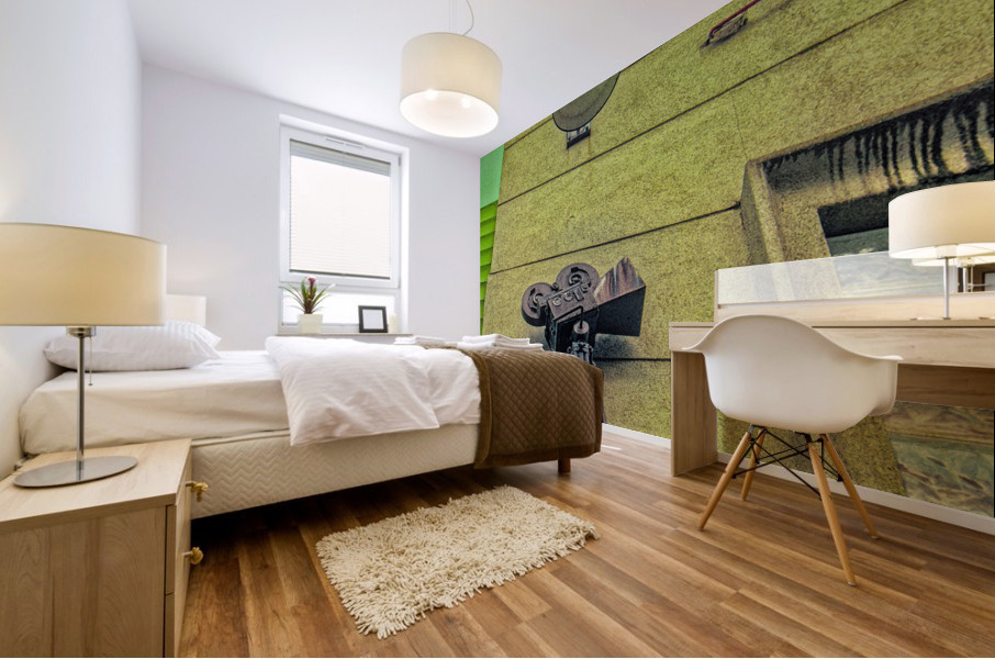 LIGHT AND CAMERA Mural print