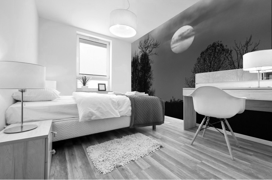 FS221019BW Mural print