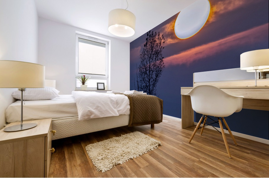 SETTING SUN 22 Mural print