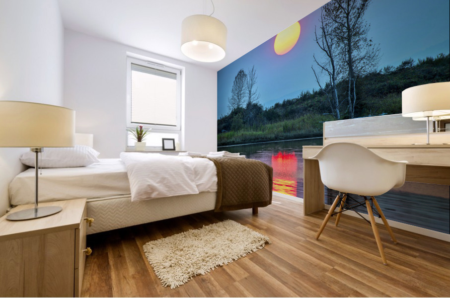 SUN REFLECT OFF FRASER RIVER Mural print