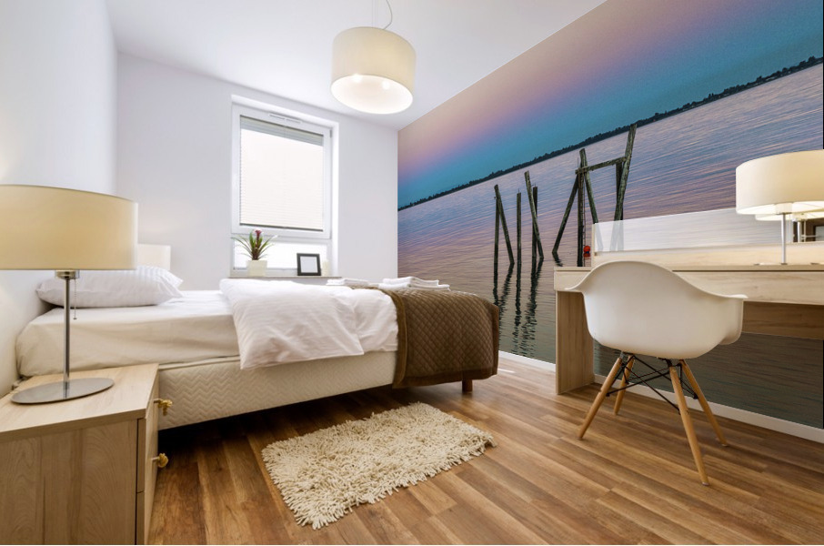 TWILIGHT GLOW IV Mural print
