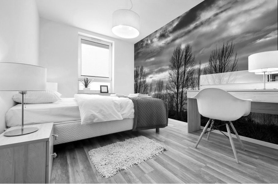 FS230103 05BW Mural print